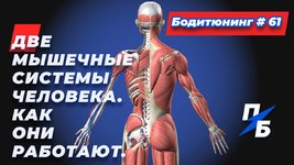 обложка.jpg